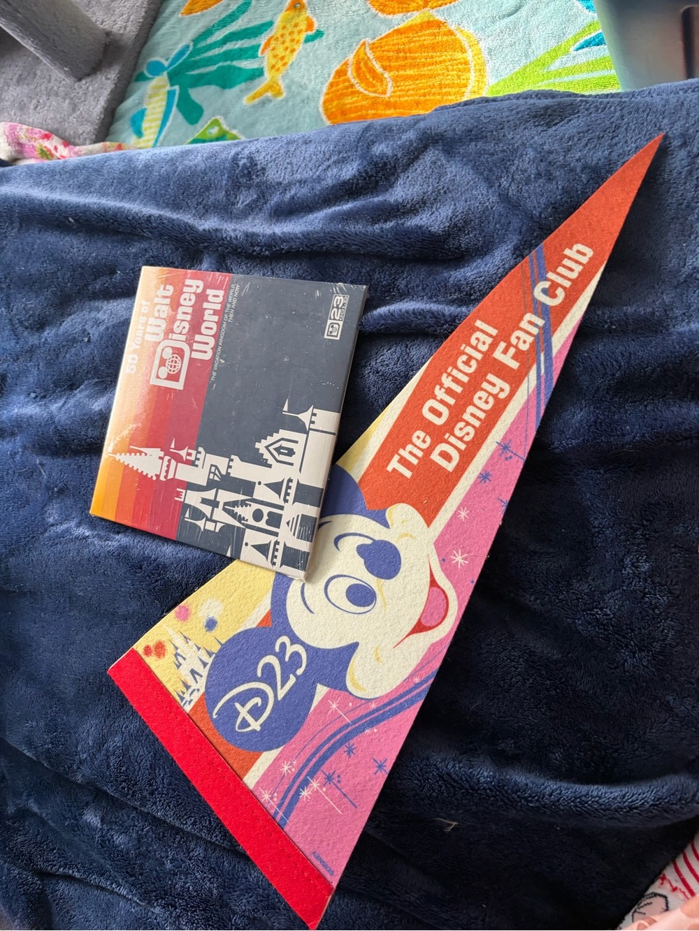 Disney D23 Official Fan Club Pennant & Record(Read)